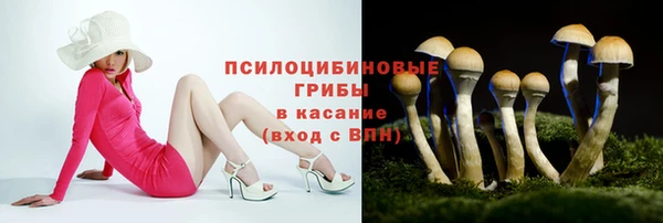 ПСИЛОЦИБИНОВЫЕ ГРИБЫ Каменка