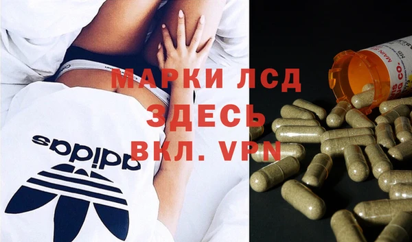 ПСИЛОЦИБИНОВЫЕ ГРИБЫ Каменка