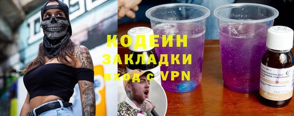 ПСИЛОЦИБИНОВЫЕ ГРИБЫ Каменка