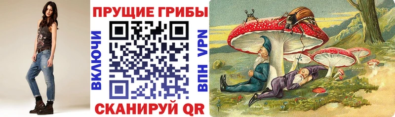 Купить где  Майский  Галлюциногенные грибы Cubensis 