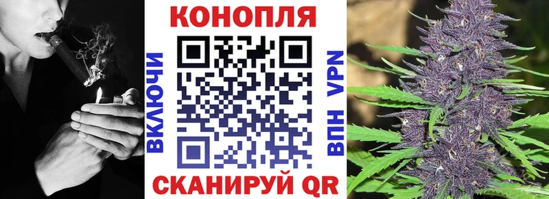 Бошки марихуана White Widow  Купить где  Майский 